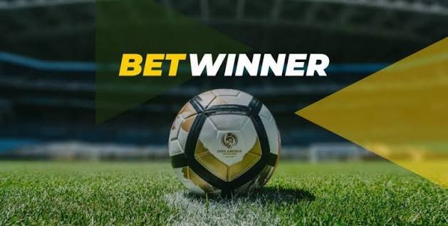 BetWinner Casino and Sportsbook A Comprehensive Guide