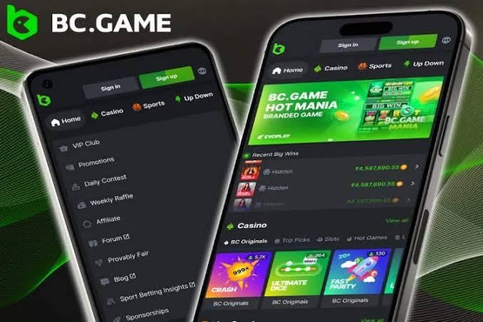 Experience the Thrills of India Casino BC Game